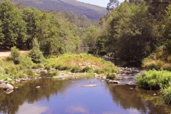 Mountain's river